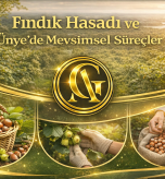 unyefinfikmerakedilen