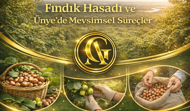 unyefinfikmerakedilen